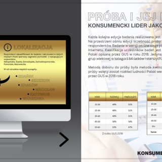 Raport z badań. 8 strona.