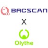 BACscan x Olythe