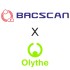 BACscan x Olythe