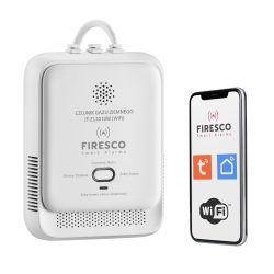 Czujnik gazu ziemnego z funkcją komunikacji JT-ZL2010W