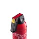 Powder fire extinguisher 1 kg